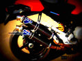 Ducati 800 S2R Monster 2006 5 motorbike A4 Photo Print