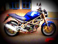 Ducati 900 Monster 1999 1 motorbike A4 Photo Print