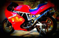 Ducati 900 Monster M 1994 4 motorbike A4 Photo Print