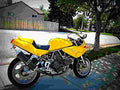 Ducati 900 SS 1975 2 motorbike A4 Photo Print