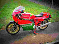 Ducati 900 SS Hailwood Replica 1984 3 motorbike A4 Photo Print