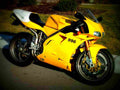 Ducati 996 2001 6 motorbike A4 Photo Print