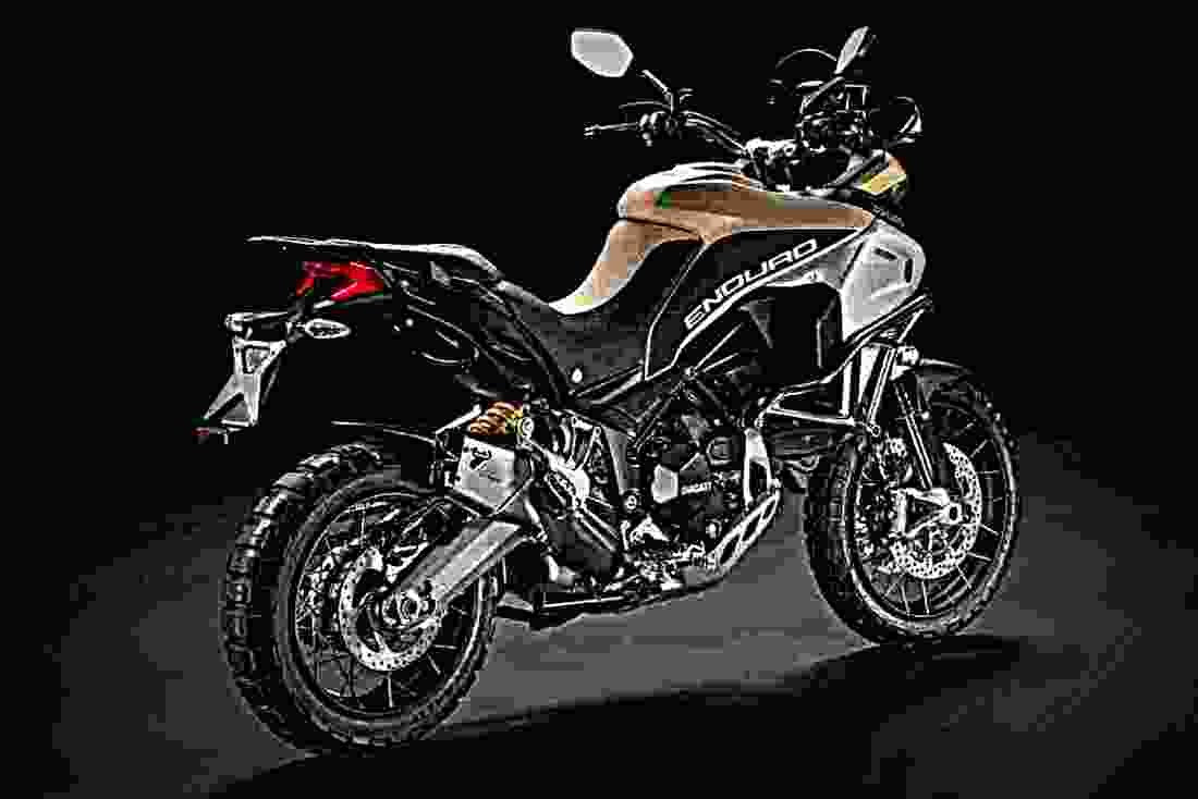 Ducati Multistrada 1200 Enduro 2017 4 motorbike A4 Photo Print