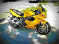 Ducati ST 4 2000 6 motorbike A4 Photo Print