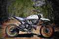 Ducati Scrambler Desert Sled 2018 3 motorbike A4 Photo Print