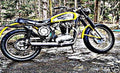 Ducati Scrambler Junior motorbike A4 Photo Print