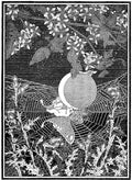 Dugald S Walker v 1 Page 012 Fairy Art Vintage Illustration A4 Photo Print