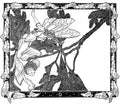 Dugald S Walker v 1 Page 014 Fairy Art Vintage Illustration A4 Photo Print