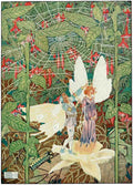 Dugald S Walker v 1 Page 033 Fairy Art Vintage Illustration A4 Photo Print