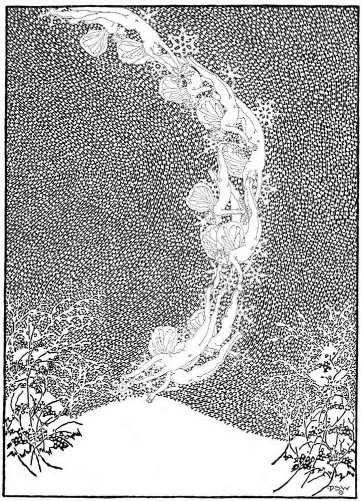 Dugald S Walker v 1 Page 052 Fairy Art Vintage Illustration A4 Photo Print