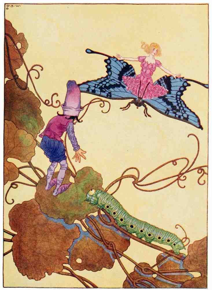Dugald S Walker v 2 Page 005 Fairy Art Vintage Illustration A4 Photo Print