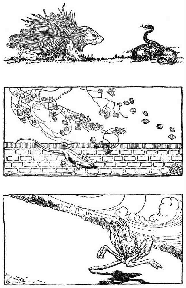 Dugald S Walker v 2 Page 013 Fairy Art Vintage Illustration A4 Photo Print