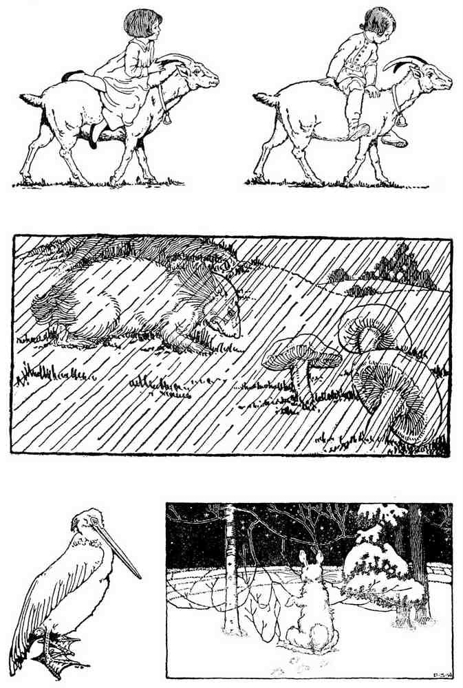 Dugald S Walker v 2 Page 023 Fairy Art Vintage Illustration A4 Photo Print