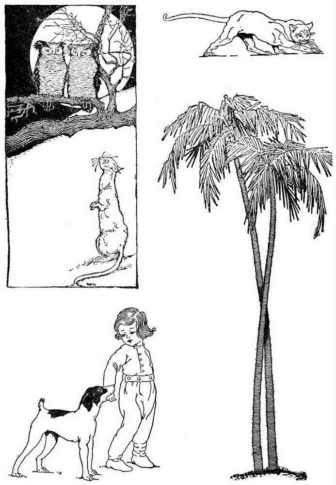 Dugald S Walker v 2 Page 027 Fairy Art Vintage Illustration A4 Photo Print