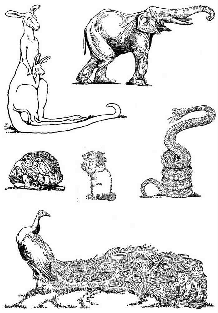 Dugald S Walker v 2 Page 035 Fairy Art Vintage Illustration A4 Photo Print