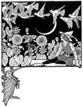 Dugald S Walker v 2 Page 044 Fairy Art Vintage Illustration A4 Photo Print