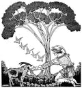 Dugald S Walker v 2 Page 051 Fairy Art Vintage Illustration A4 Photo Print