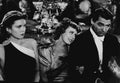 Dunne Irene Awful Truth The 3 film star poster A4 Photo Print
