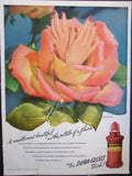 Dura Gloss Rose Vintage Retro Advert Ads A4 Photo Print
