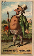 Durable Bull Potato Vintage Retro Advert Ads A4 Photo Print