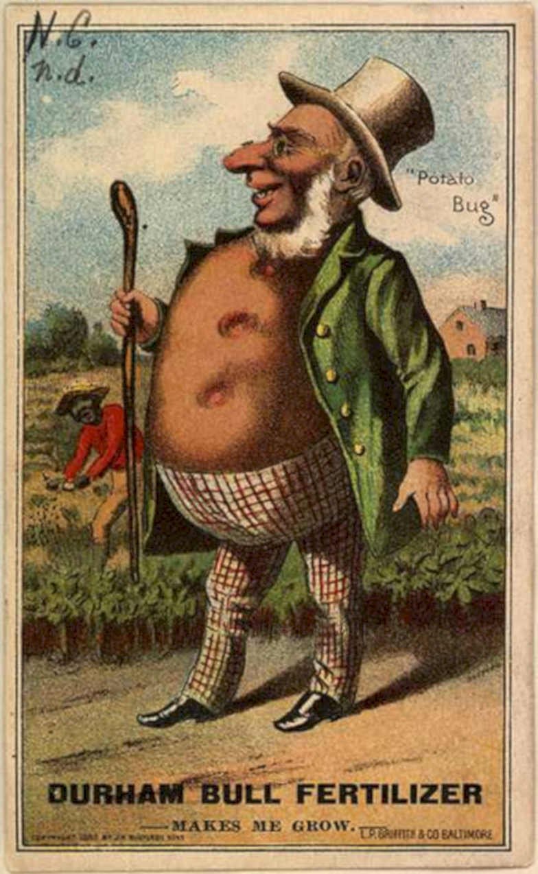 Durable Bull Potato Vintage Retro Advert Ads A4 Photo Print