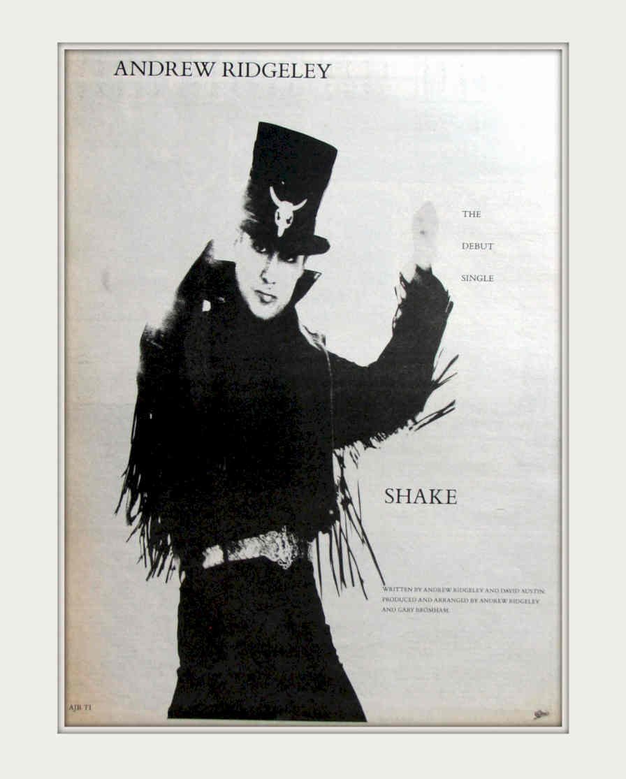 Duran Shake Vintage Retro Advert Poster A4 Photo Print