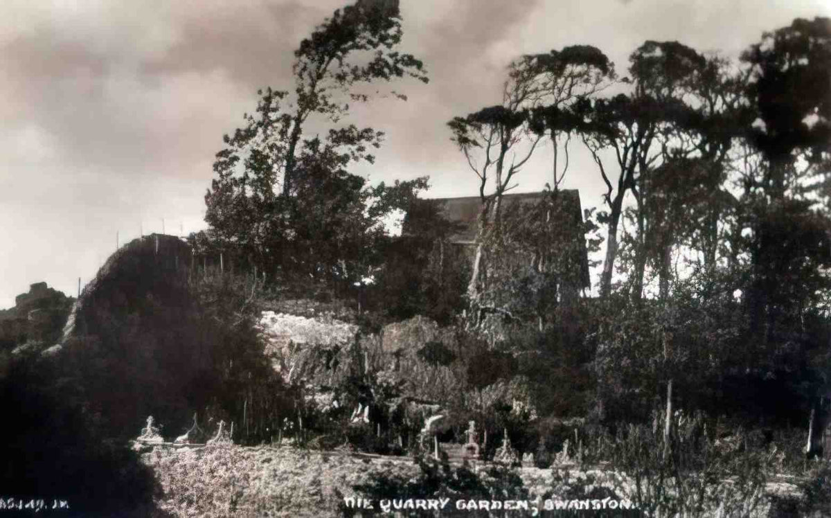 Durham Swanston Quarry Gardens Vintage A4 Photo Print