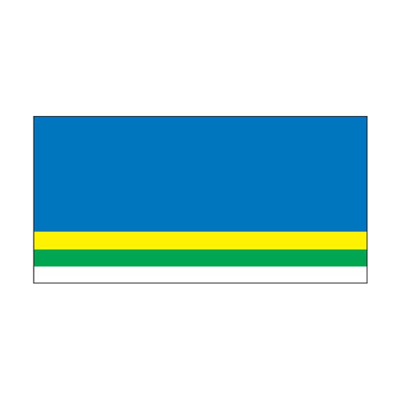 Dyatlovo City Flag N5449 A4 Photo Print