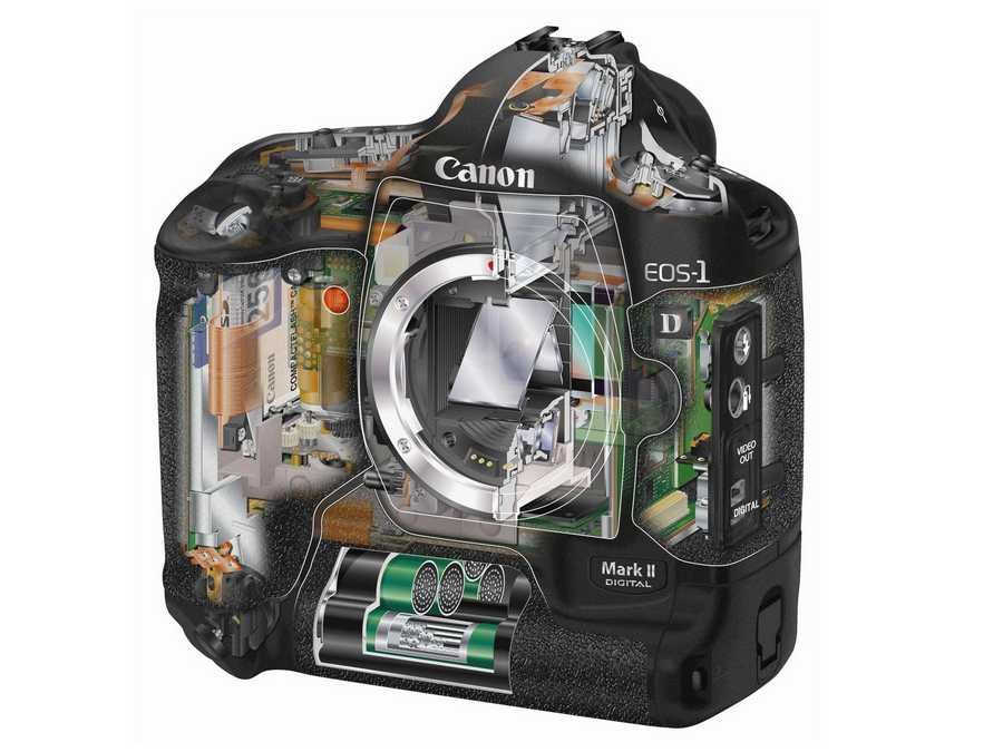 EOS1D cutaway A4 Photo Print