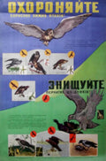 Eagle Birds Warning Vintage Retro Advert Poster A4 Photo Print