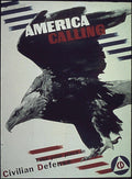 Eagle Defense Poster Vintage Retro Advert Ads A4 Photo Print