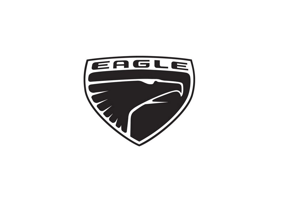 Eagle1 A4 Photo Print