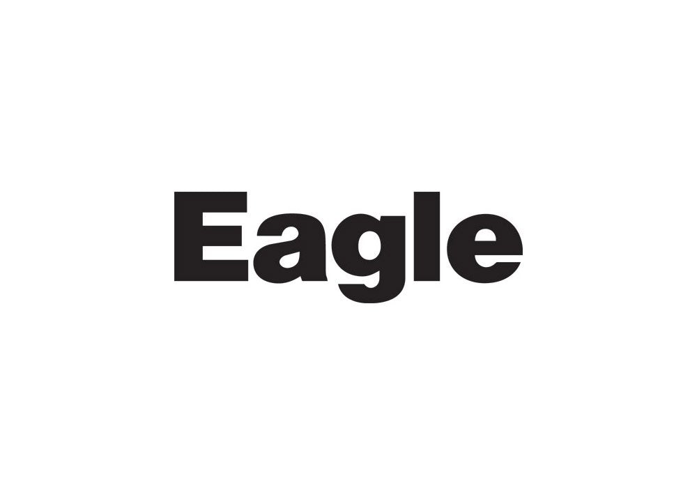 Eagle2 A4 Photo Print