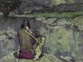 Eanger Irving Couse Moonlight Meditation A4 Photo Print