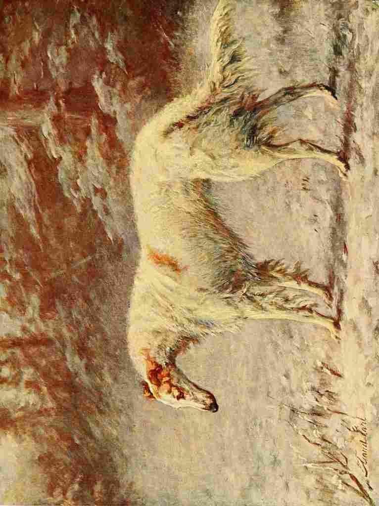 Earl Maud 1864 1943 New Book Dog 1911 Borzoi A4 Photo Print