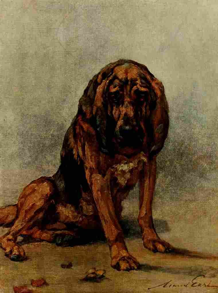 Earl Maud 1864 1943 Power Dog 1910 Bloodhound A4 Photo Print