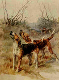 Earl Maud 1864 1943 Power Dog 1910 Foxhounds A4 Photo Print