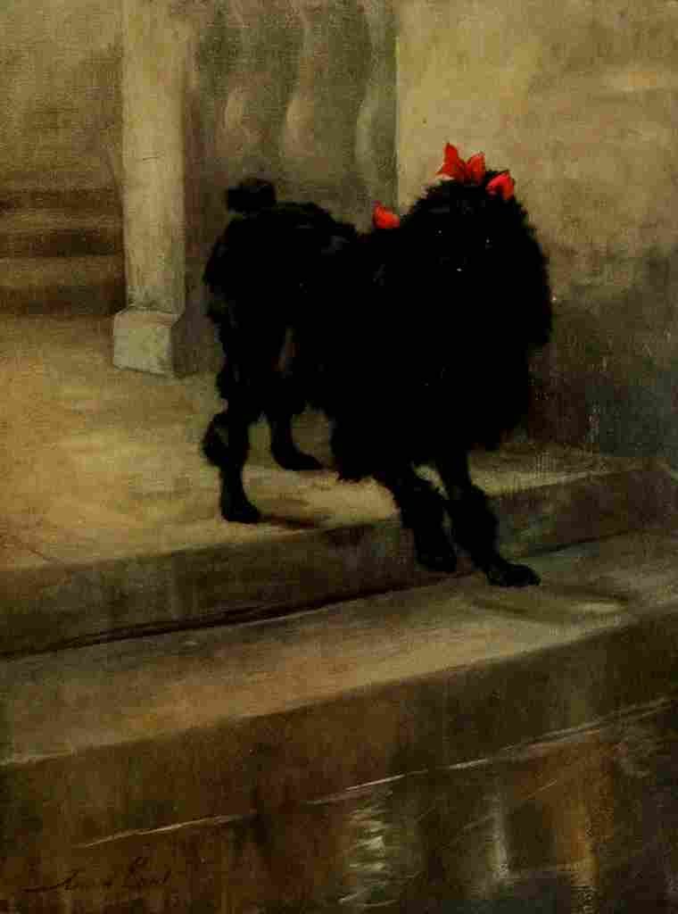 Earl Maud 1864 1943 Power Dog 1910 Miniature Poodle A4 Photo Print