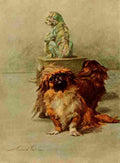 Earl Maud 1864 1943 Power Dog 1910 Pekinese A4 Photo Print