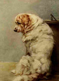 Earl Maud 1864 1943 Power Dog 1910 Pyrenean Mountain Dog A4 Photo Print