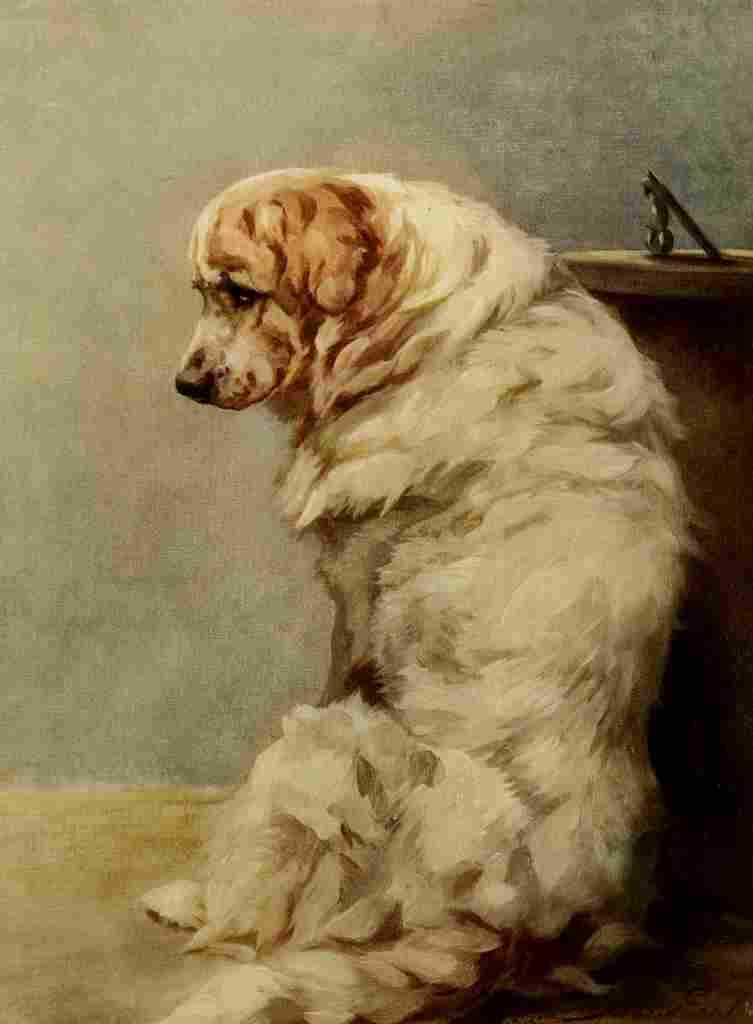 Earl Maud 1864 1943 Power Dog 1910 Pyrenean Mountain Dog A4 Photo Print
