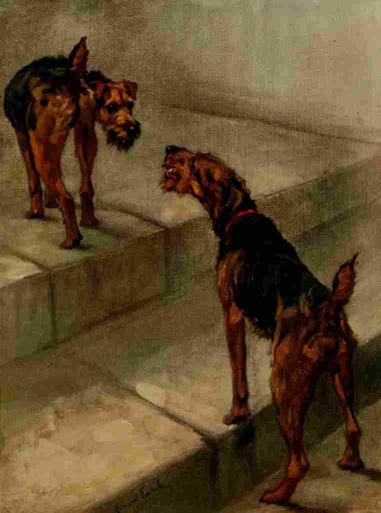 Earl Maud 1864 1943 Power Dog 1910 Welsh Terrier A4 Photo Print