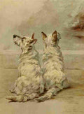 Earl Maud 1864 1943 Power Dog 1910 West Highland White Terrier A4 Photo Print