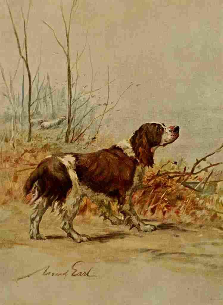 Earl Maud 1864 1943 The Power Dog 1910 English Springer Spaniel A4 Photo Print