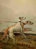 Earl Maud 1864 1943 The Power Dog 1910 Greyhounds A4 Photo Print