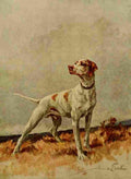 Earl Maud 1864 1943 The Power Dog 1910 Pointer A4 Photo Print