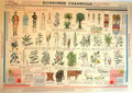 Economie Coloniale Vintage Advert A4 Photo Print