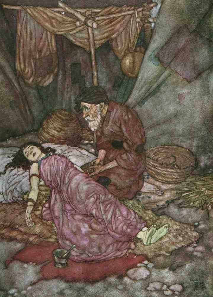 Edmund Dulac 1065 Vintage Illustration A4 Photo Print