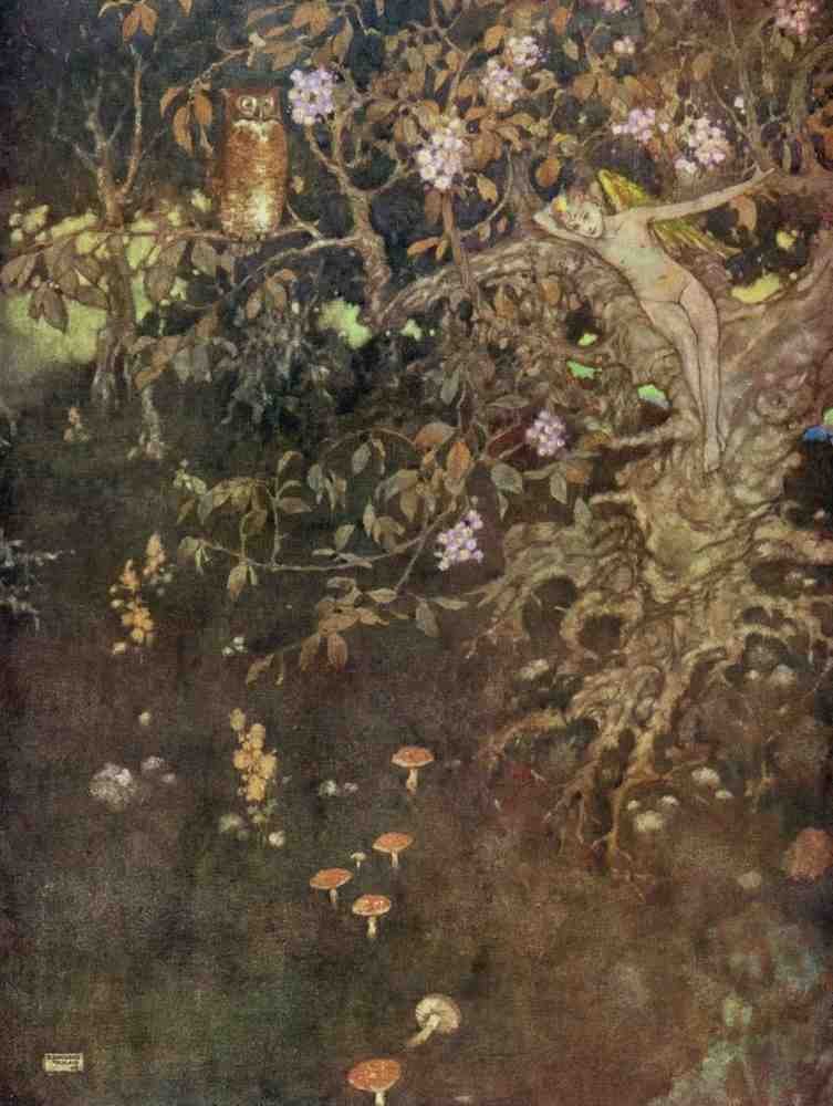 Edmund Dulac 2099 Vintage Illustration A4 Photo Print