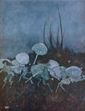 Edmund Dulac 2127 Vintage Illustration A4 Photo Print